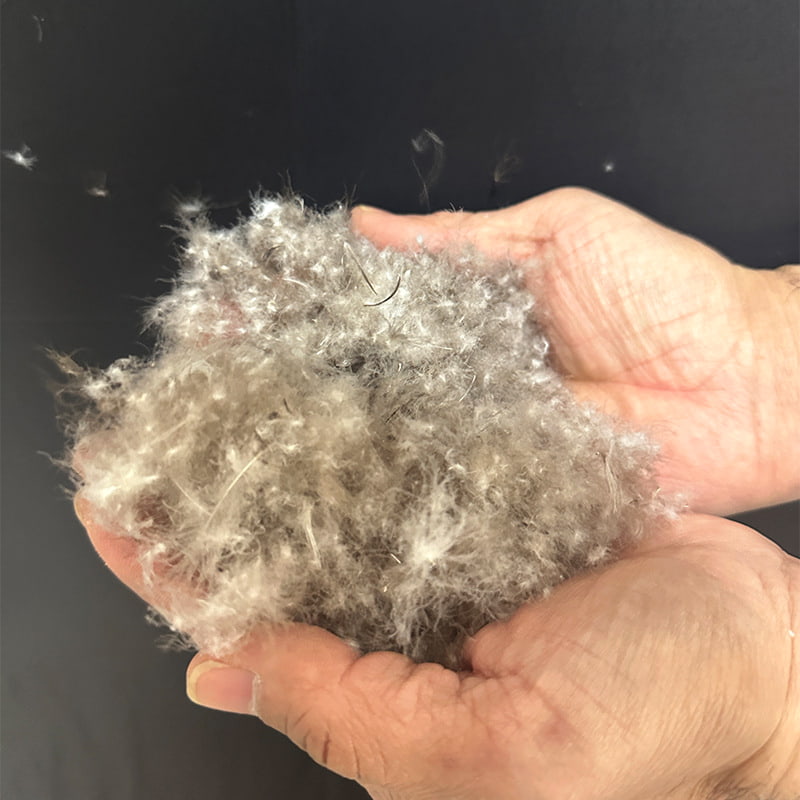 80% Plumón de Pato Gris